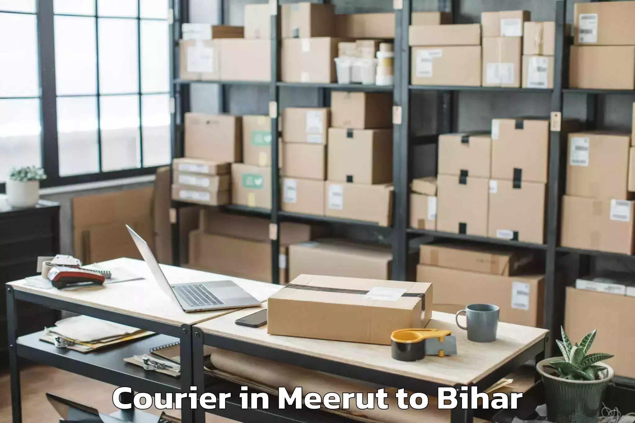 Affordable Meerut to Panhesa Courier